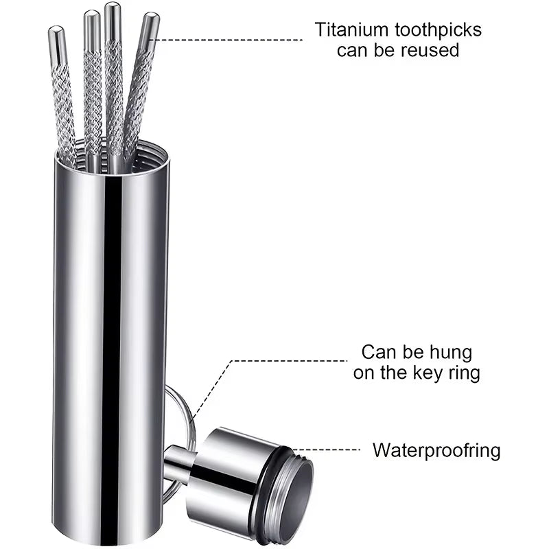 Stainless Steel Toothpick Set Reusable Toothpicks Tooth Flossing Tartar Removal Tool Portable Teeth Cleaner for Tooth Oral Clean