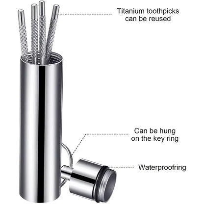 Stainless Steel Toothpick Set Reusable Toothpicks Tooth Flossing Tartar Removal Tool Portable Teeth Cleaner for Tooth Oral Clean